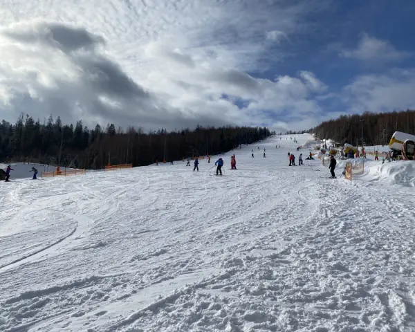 Słoneczny dzień na otwartych stokach narciarskich Wisła. Narciarze i snowboardziści cieszą się jazdą po ośnieżonych trasach, a w tle widać las i maszyny do naśnieżania.