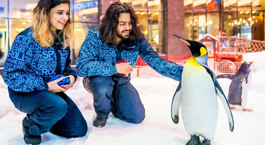 Ski Dubai: Zimowe szaleństwo w Dubaju czy warto? Pełen przewodnik